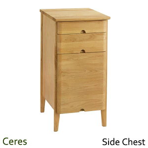 ZX413 TCh`FXg [ o X 36cm rO  I l炵 ЂƂ  IVԂ db FAX Vv i` A_[ AP{mH| H|쏊y