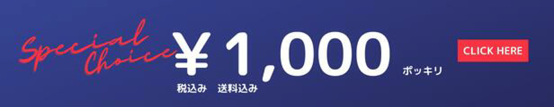 1000円ポッキリ特集