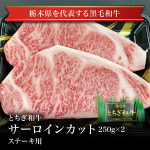 yⓀzƂaT[CXe[Lp250g×2   ≮  Ɩp ̓ ̓  Ε j  Mtg 񂹃O ߐ{̑蕨