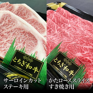 yⓀzƂaT[CXe[Lp250g×2Ƃa[XĂp200g   ≮  Ɩp ̓ ̓  Ε j  Mtg 񂹃O ߐ{