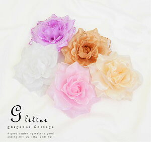 Ob^[S[WXRT[WiS5Fjyt[ ANZT[ ANZ wAANZ  l p[eB[  q  2 Ǝ tH[}znEB