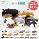 送料無料 ねむねむアニマルズ 抱きまくら Lサイズ プレミアム【ねむねむ ぬいぐるみ 抱き枕 だきまくら 動物 大きい 猫 犬 アザラシ クッション 洗える 手洗い可 妊婦 授乳クッション 特大 かわいい 可愛い おしゃれ ギフト プレゼント ラッピング無料】クリスマス