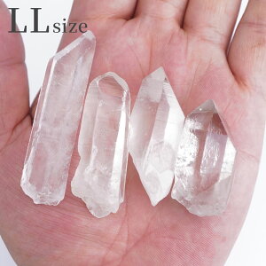 q} |Cg 1{ |Cg 1{ TCYIׂ bNNX^ VR Ήp NH[c VR   ~l   u  ~j|Cg Wp[c W