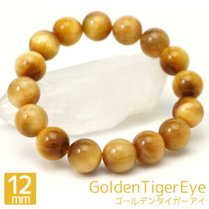 S[f^CK[AC 12mm ۋ uXbg ANZT[  16cm Պ VR p[Xg[ ANZ uXbh  O uX oO Y fB[X Mtg 蕨 
