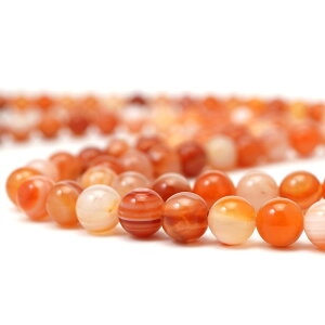 T[hjNX 8mm ۋ r[Y A 38cm T[hIjLX g VR p[Xg[     A |   nhCh ANZT[ p[c f ޗ 8~