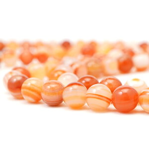 T[hjNX 10mm ۋ r[Y A 38cm T[hIjLX g VR p[Xg[     A |   nhCh ANZT[ p[c f ޗ 10~ cp7s