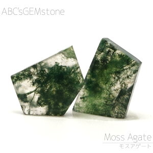 XAQ[g 14×10×3mm-12×9×3mm XCX r[Y 1 o RP _I VR ό`r[Y  o   |   nhCh ANZT[ p[c ޗ f