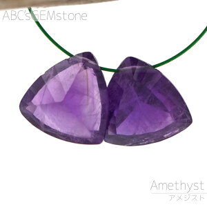 AWXg 10×6mm gAg r[Y 1 o  i VR ό`r[Y    o |   nhCh ANZT[ p[c f ޗ