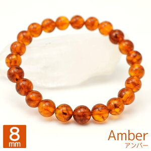 Ao[ 8mm ۋ uXbg ANZT[  16cm  RnN VR p[Xg[ ANZ uXbh  O uX oO Y fB[X Mtg 蕨 8~ cp9s