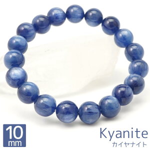 JCiCg 10mm uXbg ۋ ANZT[  16cm  i VR p[Xg[ ANZ uXbh  O uX oO Y fB[X Mtg 蕨 10~