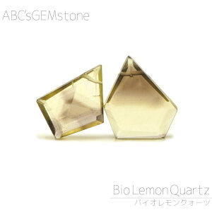 oCINH[c 16×12×3-14×10×2mm XCX r[Y 1 o A X[L[ VR Jbgr[Y  o    nhCh ANZT[ p[c ޗ f