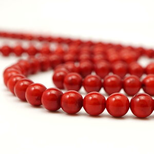 bhR[ 8mm ۋ r[Y A 38cmX VR p[Xg[     A |   nhCh ANZT[ p[c f ޗ c1sg