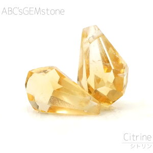 Vg 9×6×5-8×5×4mm thbv r[Y 1 o  LL VR ό`r[Y  o   |   nhCh ANZT[ p[c ޗ f c1sg