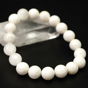 [ICg 10mm uXbg ۋ ANZT[  16cm XRTCg  VR p[Xg[ ANZ uXbh  O uX oO Y fB[X Mtg 蕨 10~