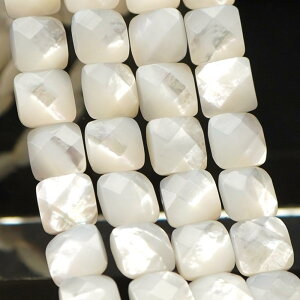 }U[Iup[ 8×8×4mm XNGAt@Zbg r[Y A 38cm L i VR p[Xg[ L   A |   nhCh ANZT[ p[c f ޗ 8~ c1s