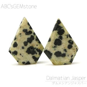 _VAWXp[ 15×11×3-13×9×3mm XCX r[Y 1 o 킢  D VR ό`r[Y  o   |   nhCh ANZT[ 