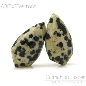 _VAWXp[ 15×8×5mm A[Jbg r[Y 1 o 킢  D VR ό`r[Y  o   |   nhCh ANZT[ p[