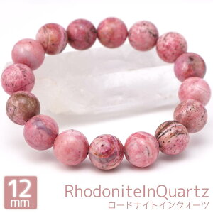 y30%Itz [hiCgCNH[c 12mm ۋ uXbg ANZT[  16cm sN 킢 VR p[Xg[ ANZ uXbh  O uX oO Y f