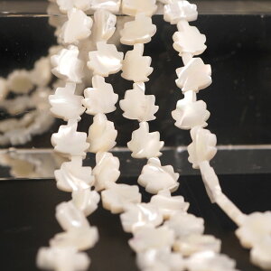 }U[Iup[ 10×10×2mm ݂`[t r[Y A 38cm  Jbg VR p[Xg[ A    |    nhCh ANZT[ p[c ޗ 11~