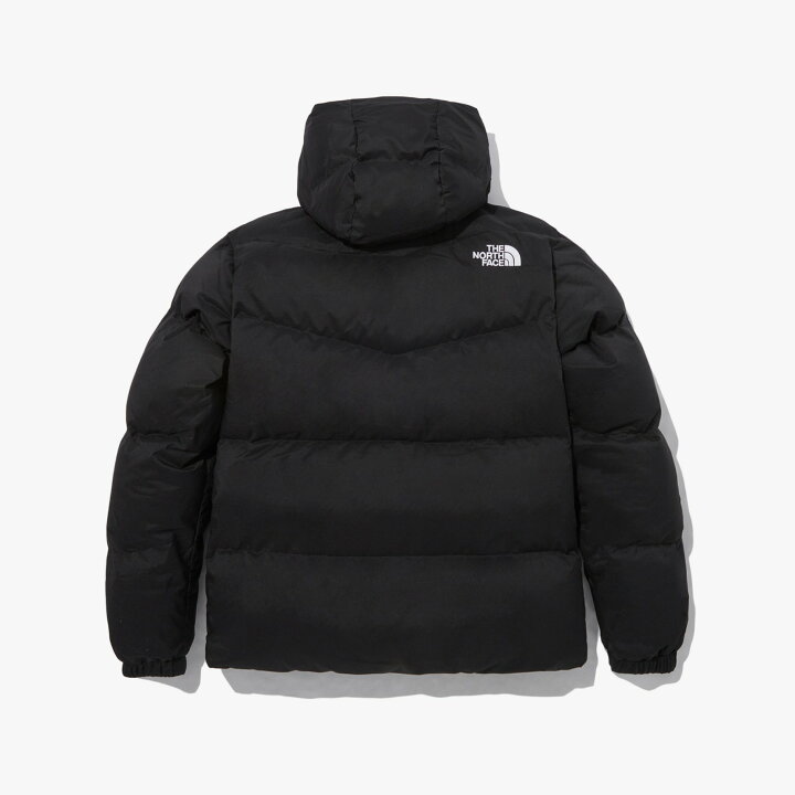 楽天市場】☆送料無料☆[THE NORTH FACE] FREE MOVE DOWN JACKET  
