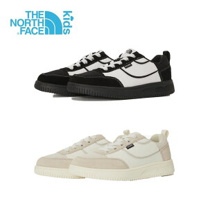 THE NORTH FACEK'S DOME NS96Q54 LbY Xj[J[ V[Y j̎q ̎q V[Y h[ ^C R WjA ₷ ؍  킢  jp p jZbNX 