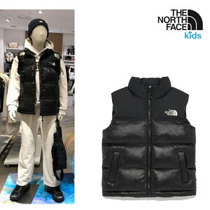 z THE NORTH FACE NV3NR50S LbY GR kvV _ExXg h  y ۉ ӂ g ʊw H~ AEghA C[h Vv ubN   fC[ |Pbg 