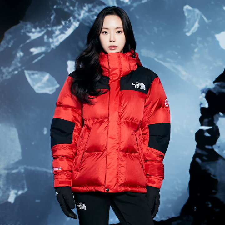 楽天市場】☆送料無料☆THE NORTH FACE☆SUMMIT PRO DOWN JACKET 