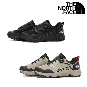 THE NORTH FACENS95P51 ENERGY TECH II BOA GTX Xj[J[ gbLOV[Y oR AEghA nCL _C Y fB[X y ₷ y ؍  lC ^