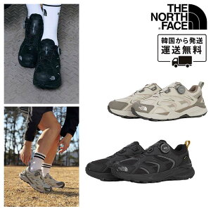 THE NORTH FACENS95R02 ENERGY TECH ALPHA 3.0 GTX Xj[J[ gbLOV[Y oR AEghA nCL _C Y fB[X y ₷ y ؍  lC 