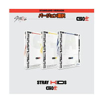 楽天市場】straykids go生 限定盤の通販