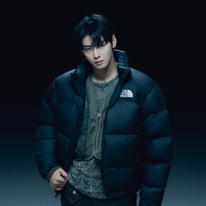 楽天市場】☆送料無料☆[THE NORTH FACE] チャウヌ 着用 NJ1DQ56 M 