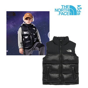  [THE NORTH FACE] NV3NR50 K'S ECO NUPTSE PADDING VEST lOK _ExXg kvV `bL V[g LbY  @ j̎q ̎q y y I{[X [TCY WjA  ؍ 