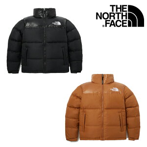 THE NORTH FACEM'S 1996 ECO BLUE NUPTSE JACKET NJ1DP74 _EWPbg kvV V[g fB[X Y Wp[ WPbg t[h V[g X^hJ[ nClbN ؍ z