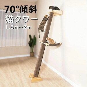 キャットタワー 突っ張り 頑丈」の人気商品一覧・価格比較 - 価格.com