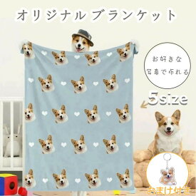 毛布 ブランケット お昼寝毛布 うちの子記念日 おやすみマット お昼寝 メモリアル 写真入り 思い出 タオルケット うちの子グッズ オーダーメイド 世界にひとつだけ♪オリジナル うちの子 犬 プレゼント 猫 ペット 愛猫 ひざ掛け 膝掛け 名入れ 誕生日 愛犬 布団 ブランケット