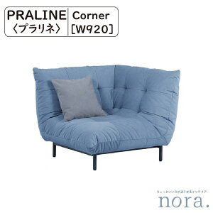 yzz ։Ƌ Nora. m Praline vl R[i[\t@ f t@ubN ACAi̓hj E^tH[ EF[sOxg XJC Zg }X^[h rO