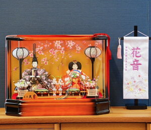 yzyŒZoׁzHqEڂ P[X 48.5 l` ߏ֒l` ЂȐl` ̐ߋ Ђȗl hJ֌