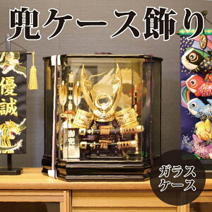 yzyŒZoׁz܌l` P[X gCoD 48cm [߂̐ߋ ǂ̓ KXP[X ZpP[X