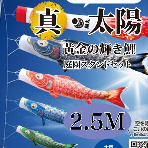 ̂ڂŷڂz ^Ez ܌ [߂̐ߋ îڂ 2.5M 뉀X^hZbg 8_ ̋P ō|GXeTef H R[eBOpyzy