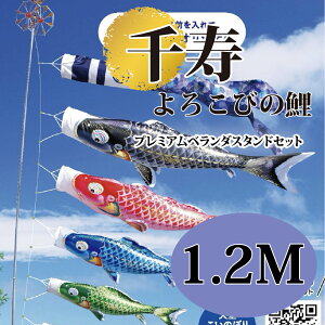 ̂ڂŷڂz܌ [߂̐ߋ îڂ 1.2M v~Ax_X^hZbg  낱т̌ H R[eBOpyzyŒZoׁz