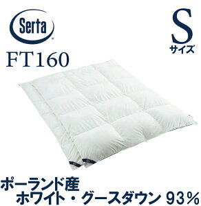 yzT[^ K̔X FT-160 STCY Hѕzc |zc |[hY zCgO[X_E93 I[V[Y 400DP  1.2KG VOTCY S[hx