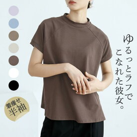 tシャツ レディース 半袖 カットソー 春夏 トップス UV プルオーバー インナー ハイネック 薄手 体型カバー 楽ちん 夏物 ナチュラル 送料無料