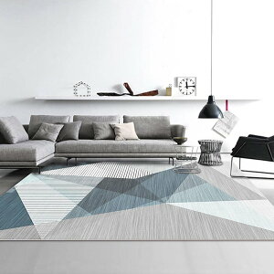 k O J[ybg O}bg 􉽊w͗l ۓI  _ J[ 80x160cm   m Չ 200x300 CeA _CjO JtF ^Cv O \t@ q