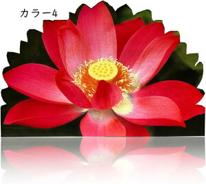 ~߃V[g փ}bg S J[ybg hA}bg O  O DƂ 􂦂 58x88cm Ɩp @}bg  O ~ n  ` ϖՐ RۖhL It