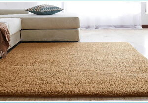 カーペット 保温性 滑り止め付き 厚手 通気性 大判サイズ ボアフリースマット ?毯 カーキ 消音 じゅうたん 長方形 赤ちゃん 冷房 屋内 40x60cm オールシーズン 冬 静電気防止 無地 防塵