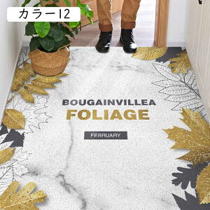 ~߉H  J[10 唻 hA}bg J  tA}bg DƂ}bg Ɩp 􉽊w 45x75cm p ƒp 傫 n ItBXpi Xܗpi  O 