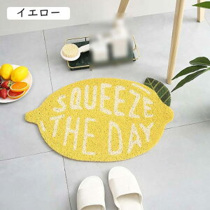 DƂ փ}bg ʕ kfUC ~ 40x60CM PVC}bg O  oX}bg  CeA}bg ɂ ϖ  hA}bg p GgX}bg