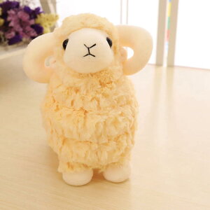ʂ  rʂ   ܂ YQ NbV  Q v[g Aj} D Lbg CG[ q̖ C 25cm CeA ޏ