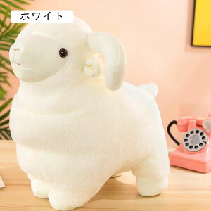ʂ Rr  킢 M  YQ ӂӂ Ԃ ̎q j̎q @\ ܂ GG Q NbV a v[g j i Rr  40cm Aj