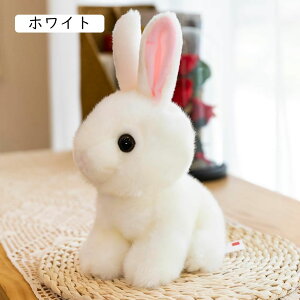 ʂ Ђ  NX}X   ʂ  ʐ^ av[g CeA D u 30cm X fXNgbvp uE 